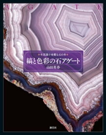 楽天市場 不思議で美しい石の図鑑の通販
