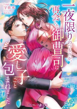 一夜限りのつもりが、再会した御曹司に愛し子ごと包まれました【電子限定SS付】 