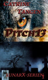 Pitch13【電子書籍】[ Catrine Ziddharta Tangen ]