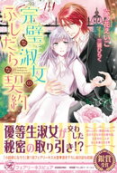 完璧な淑女のふしだらな契約【初回限定SS付】【イラスト付】【電子限定描き下ろしイラスト＆著者直筆コメント入り】