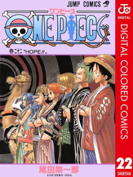 ONE PIECE カラー版 22 