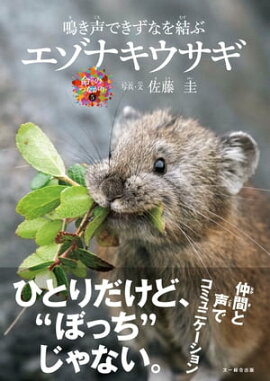 鳴き声できずなを結ぶ エゾナキウサギ 
