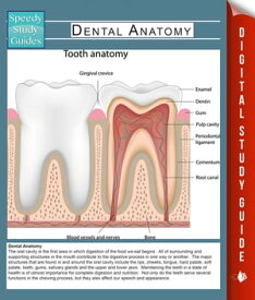 Dental Anatomy (Speedy Study Guides)【電子書籍】[ Speedy Publishing ]