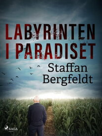 Labyrinten i paradiset【電子書籍】[ Staffan Bergfeldt ]