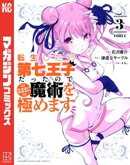 転生したら第七王子だったので、気ままに魔術を極めます（３）