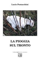 La pioggia sul Tronto