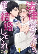 おまえの為に法律変えたから、俺と結婚してくれ（１）