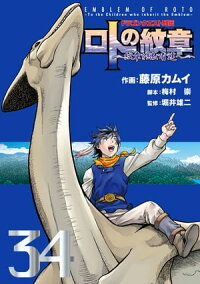 楽天kobo電子書籍ストア ドラゴンクエスト列伝 ロトの紋章 紋章を継ぐ者達へ 34巻 藤原カムイ