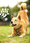 夢ーYUMENOSUKEー