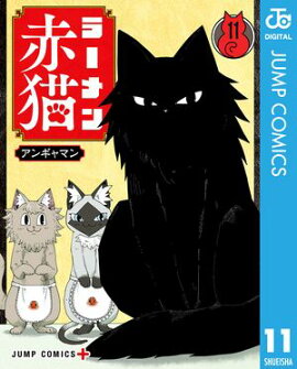 �顼�����ǭ 11 