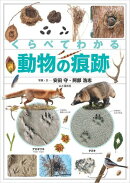 くらべてわかる動物の痕跡