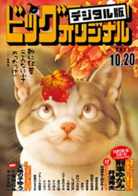 �ӥå����ߥå����ꥸ�ʥ� 2017ǯ20��(2017ǯ10��5��ȯ��) 