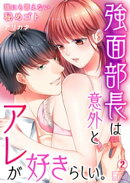強面部長は意外とアレが好きらしい。〜誰にも言えない秘めゴト(2)