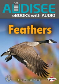 Feathers【電子書籍】[ Jennifer Boothroyd ]