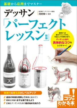 デッサン　パーフェクトレッスン　新版　基礎から応用までマスター 
