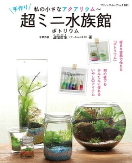 ��ξ����ʥ������ꥦ�������Ķ�ߥ˿�²�� 