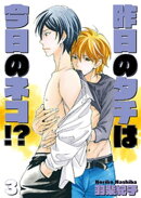 昨日のタチは今日のネコ！？3