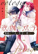 夜伽の双子ー贄姫は二人の王子に愛されるー（１２）