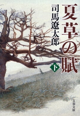 �������ʲ��� 