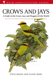 Crows and Jays【電子書籍】[ Steve Madge ]