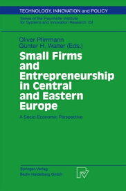 Small Firms and Entrepreneurship in Central and Eastern Europe A Socio-Economic Perspective【電子書籍】