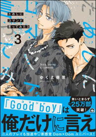 ためしにコマンド言ってみた （3） 【電子限定かきおろし漫画付】【電子書籍】[ ゆくえ萌葱 ]
