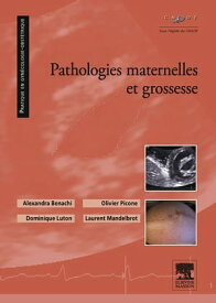 Pathologies maternelles et grossesse【電子書籍】[ Alexandra Benachi ]