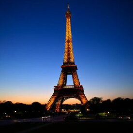 The Eiffel Tower An Overview of The Eiffel Tower in France【電子書籍】[ John Reardon ]