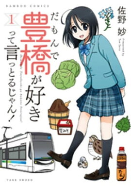 だもんで豊橋が好きって言っとるじゃん！ (1) 