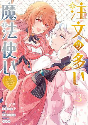 注文の多い魔法使い 契約花嫁はおねだり上手な最強魔術師に溺愛されています!?: 3【電子限定描き下ろし付き】 書影