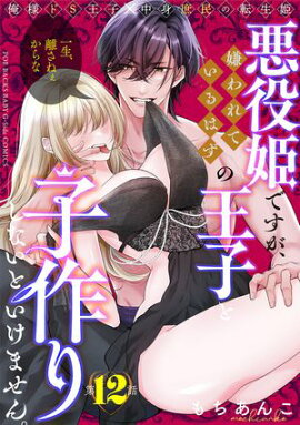 悪役姫ですが、嫌われているはずの王子と子作りしないといけません。(12) 
