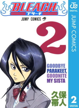 BLEACH モノクロ版 2 