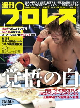 週刊プロレス 2019年 6/26号 No.2016 