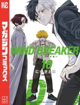 ＷＩＮＤ　ＢＲＥＡＫＥＲ（１０） 