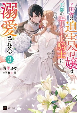 ド田舎の迫害令嬢は王都のエリート騎士に溺愛される3 