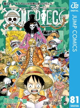 ONE PIECE Υ 81 