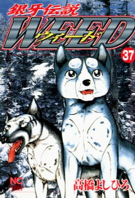 銀牙伝説ウィード 37 