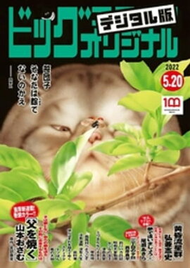 �ӥå����ߥå����ꥸ�ʥ� 2022ǯ10���2022ǯ5��2��ȯ��) 