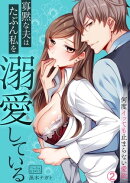 寡黙な夫はたぶん私を溺愛している〜何度イッても止まらない愛欲(2)