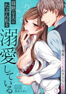 寡黙な夫はたぶん私を溺愛している〜何度イッても止まらない愛欲(1)