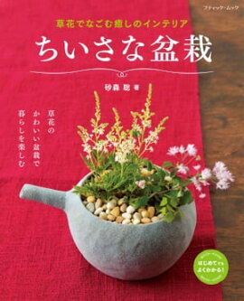 ちいさな盆栽 