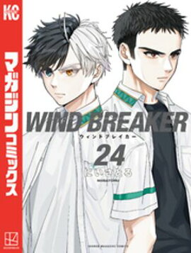 ＷＩＮＤ　ＢＲＥＡＫＥＲ（２４） 