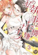 私の執事はご機嫌ナナメ〜ベッドで眼鏡はやめてください!〜【分冊版】3
