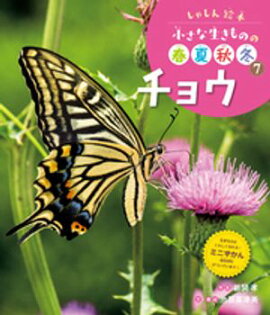 チョウ７　しゃしん絵本　小さな生きものの春夏秋冬 