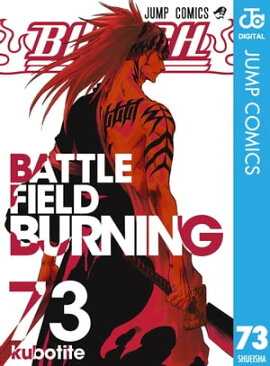 BLEACH モノクロ版 73 