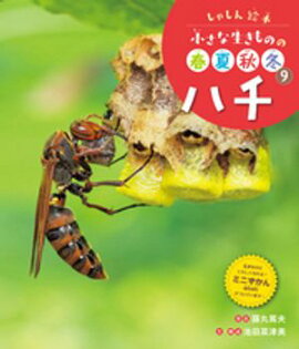 ハチ９　しゃしん絵本　小さな生きものの春夏秋冬 