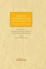 Litigaci?n internacional en la Uni?n Europea VI El proceso monitorio europeo【電子書籍】[ Isabel Ant?n Juarez ]