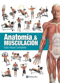 Anatom?a & Musculaci?n Gu?a visual completa【電子書籍】[ Ricardo C?novas Linares ]