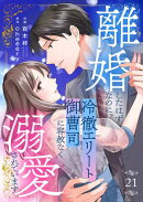 離婚したはずなのに、冷徹エリート御曹司に容赦なく溺愛されています２１