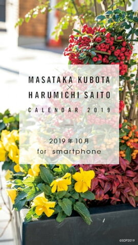 ߼̿ȡƣƻ2019.10 for smartphone 